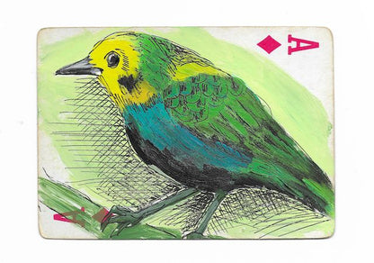 Fine Art Prints | Playing Card Paintings: Birds