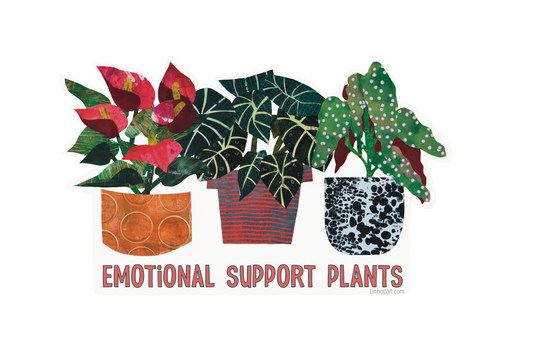 2024 Plant Calendar | Stickers