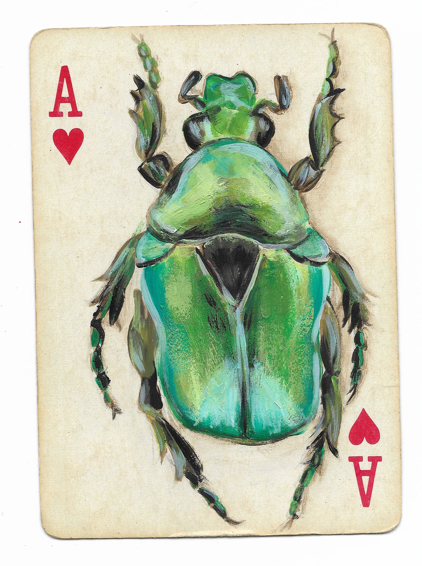 Fine Art Prints | Playing Card Paintings: Bugs