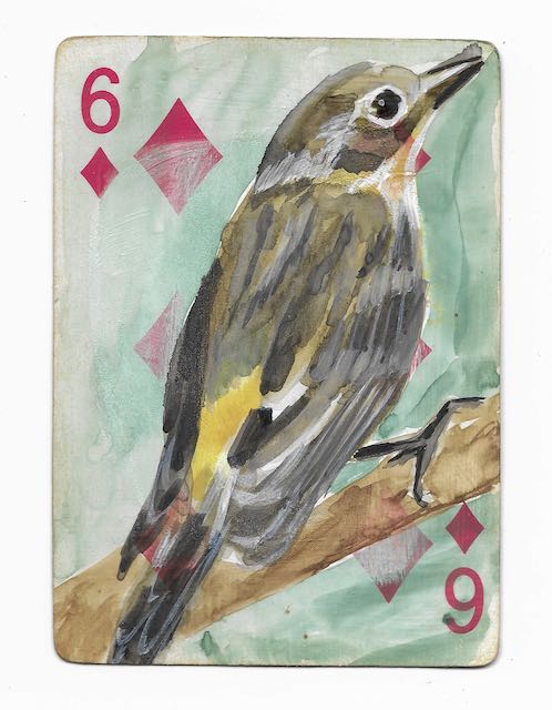 Playing Card Paintings | Birds