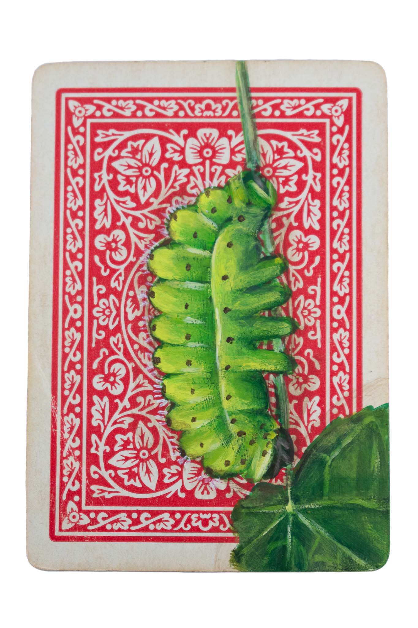 Playing Card Paintings | Bugs